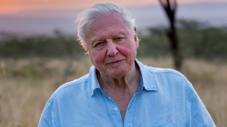 David Attenborough növényalapú táplálkozással áll a bolygó védelmébe