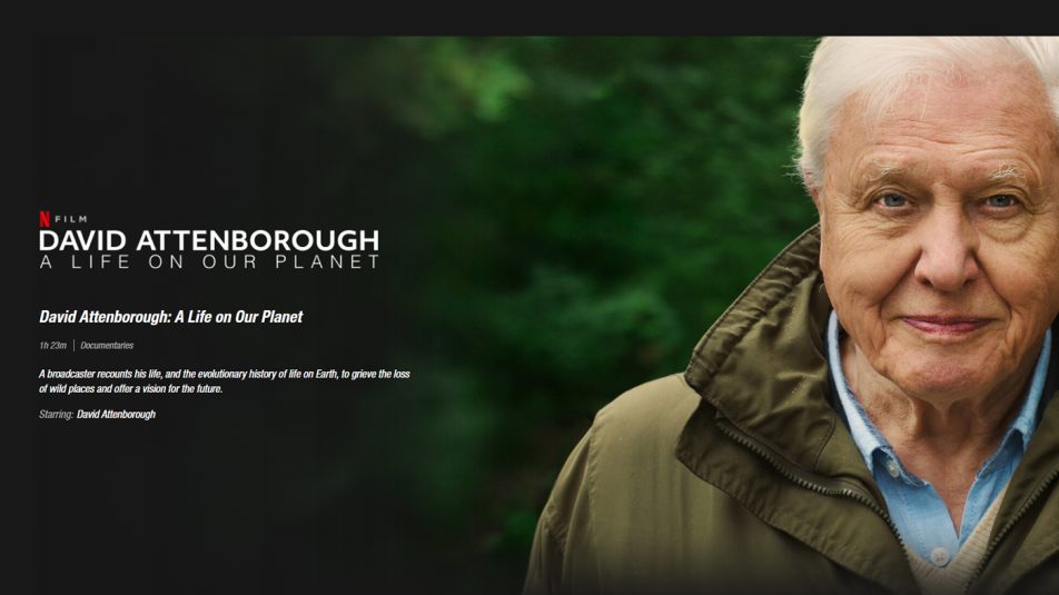Attenborough királyi kérdések kereszttüzében