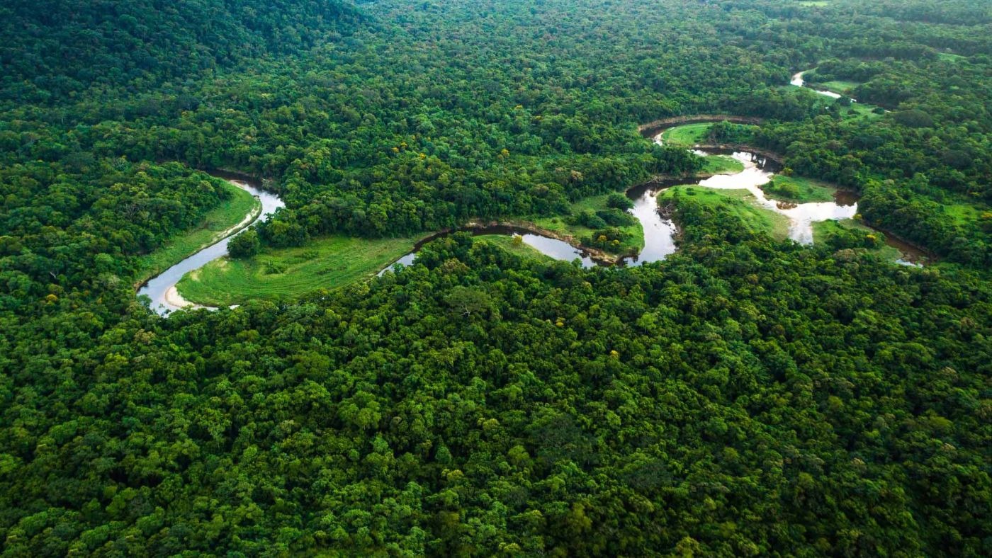 Fordulópont: szavannává válhat az amazóniai esőerdő