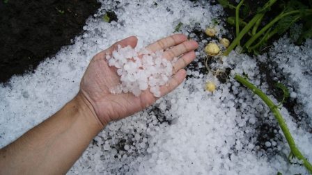 hail