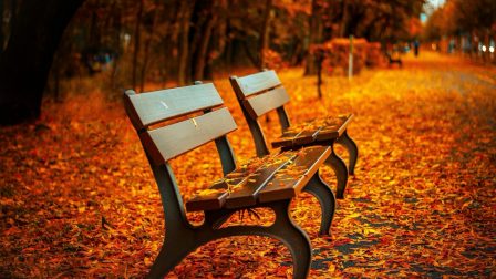 benches-560435_1920_