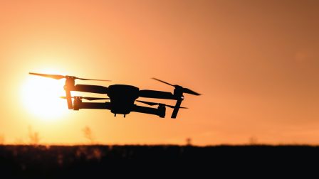 Faültető drónok szállnak az erdőtelepítők segítségére
