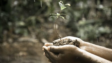 Önmagát öntözni képes talajt fejlesztettek