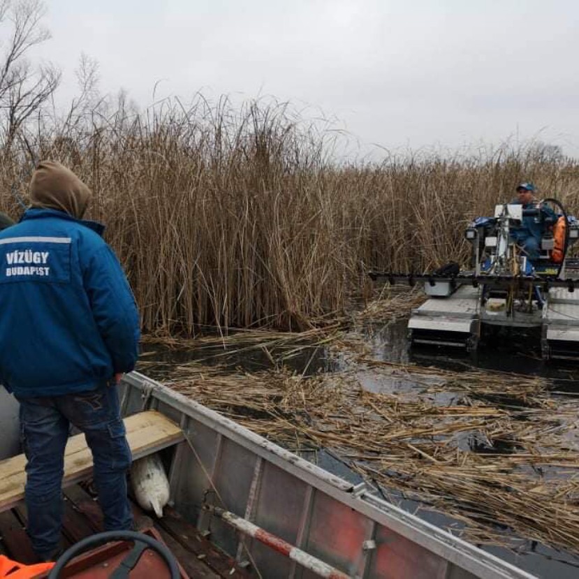 Évekbe telhet az olajszennyezett Duna-ág teljes kármentesítése