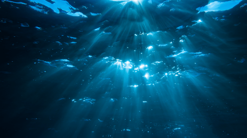 Folyamatosan kerülnek elő új mélytengeri fajok az Atlanti-óceánon