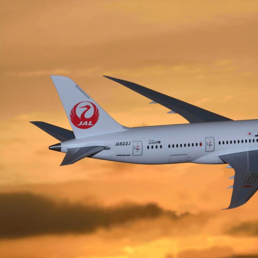 Etikus opciót kínál a japán nemzeti légitársaság