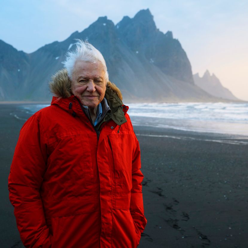 Januárban érkezik az új David Attenborough sorozat