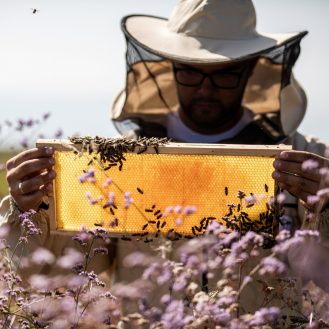 Méhész jövőképe, Hyperopia 35 évesen