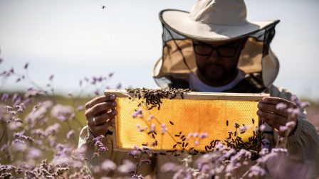 Biomézekkel készül a jövőre egy debreceni méhészet