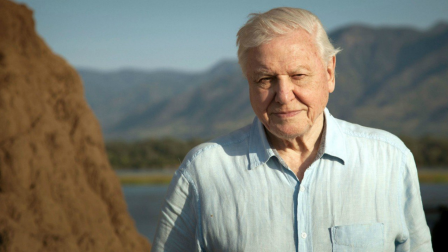 David-Attenborough-Egy-elet-a-bolygonkon 16-9