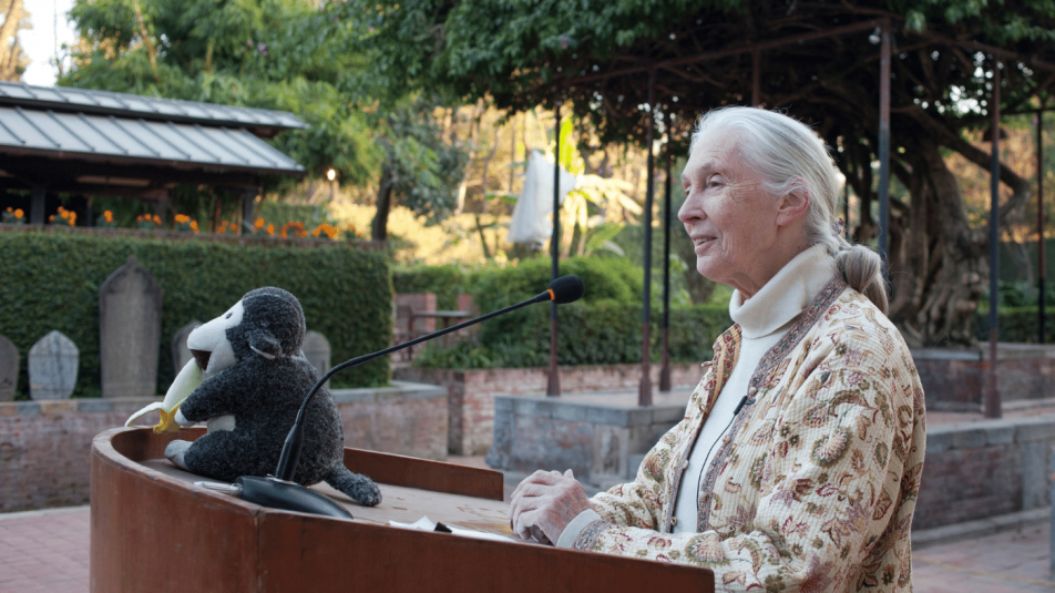 Nem szabad rövidtávon gondolkoznunk – Jane Goodall