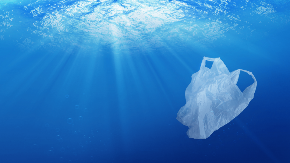 Vajon a komposztálható műanyagok jelentik a megoldást?