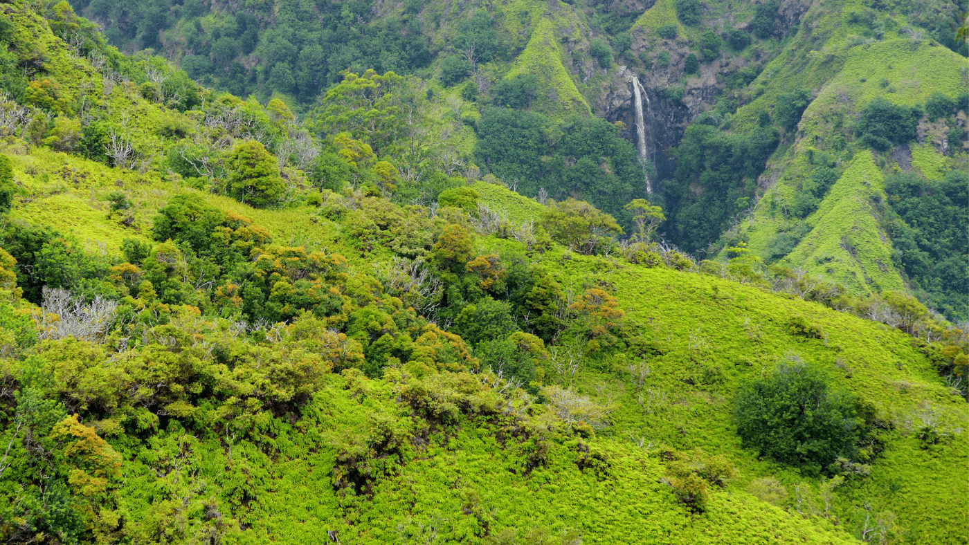 A klímaváltozás lassan átrajzolhatja trópusi esőerdők határait