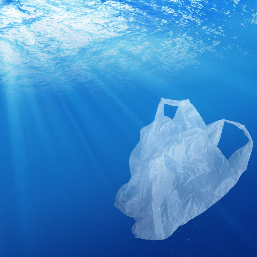 Vajon a komposztálható műanyagok jelentik a megoldást?