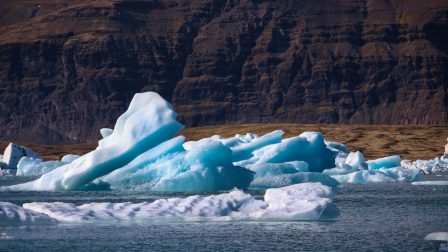 Nagy változások várhatóak az Antarktisz élővilágában