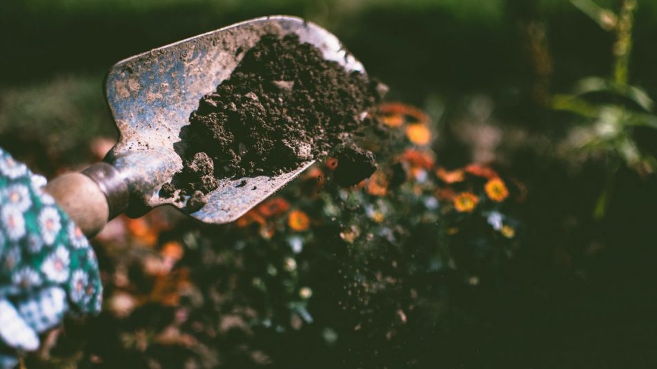A talajbaktériumok javítják a levegő minőségét