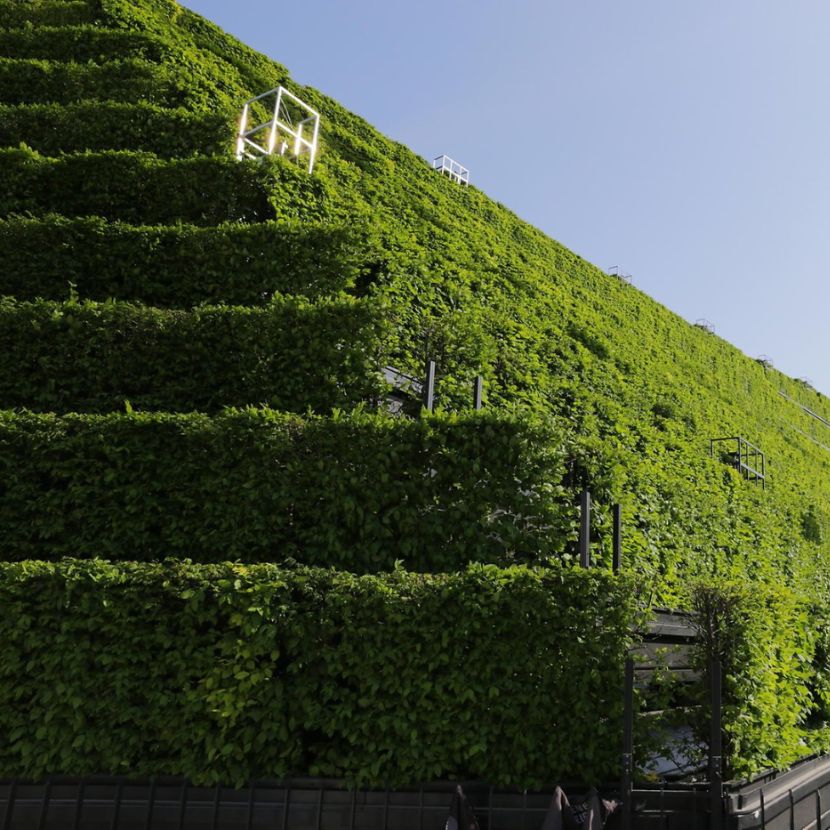 Zöld lélegző épület Düsseldorf központjában