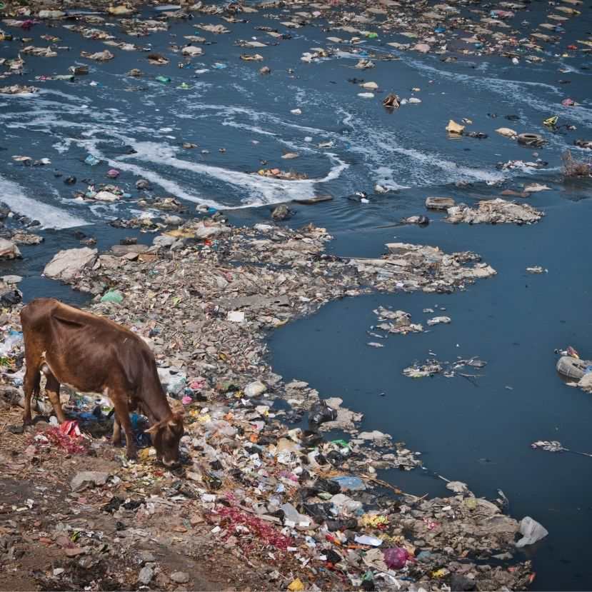 Alig van a világon olyan folyó, amelyet nem szennyeztünk el