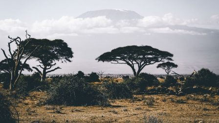 A kevesebb bozóttűz átmenetileg javítja a levegőminőséget Afrikában