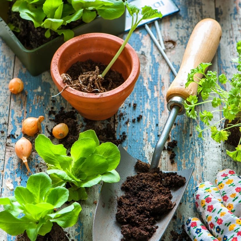 A kertészkedés elkezdéséhez a legjobb pillanatban vagy! (2. rész)