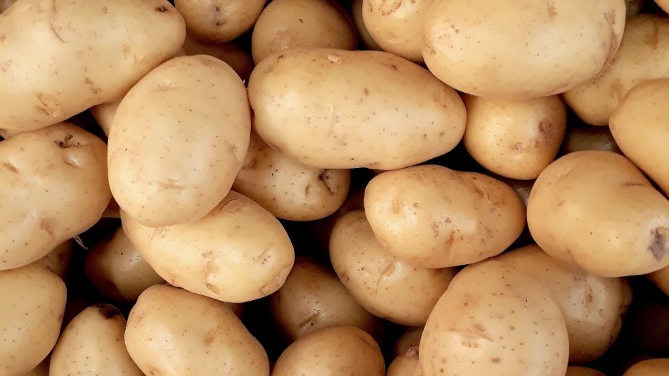 krumpli-1