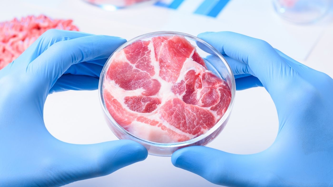 Attól, hogy laborban készül, még nem lesz fenntarthatóbb a hús