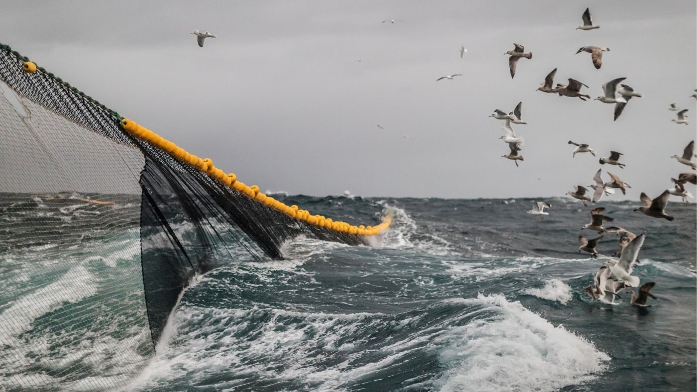 A vonóhálós halászat karbonlábnyoma a repülés kibocsátásával vetekszik