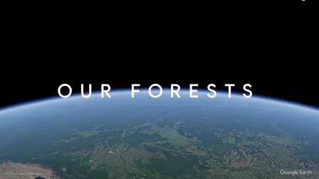 Így változtak az erdők az elmúlt szűk 40 évben – videó