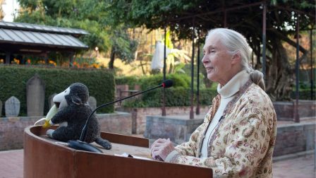 Ezt üzeni Jane Goodall a Föld napja alkalmából