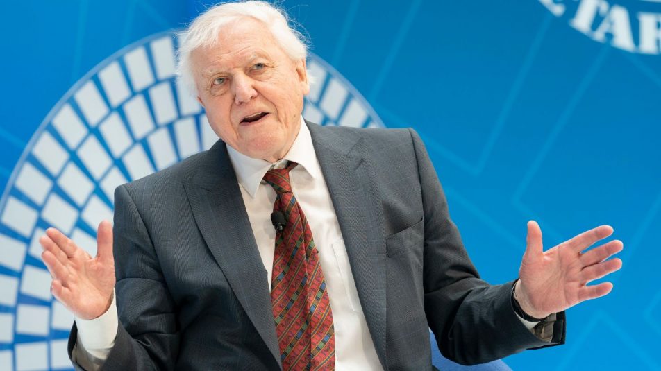 David Attenborough az „emberek szószólója” az idei ENSZ Globális Klímaváltozási Csúcstalálkozón