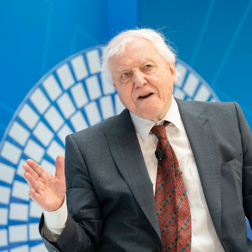 David Attenborough az „emberek szószólója” az idei ENSZ Globális Klímaváltozási Csúcstalálkozón
