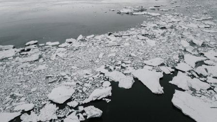 1400×788-pexels-jeg-antarktisz