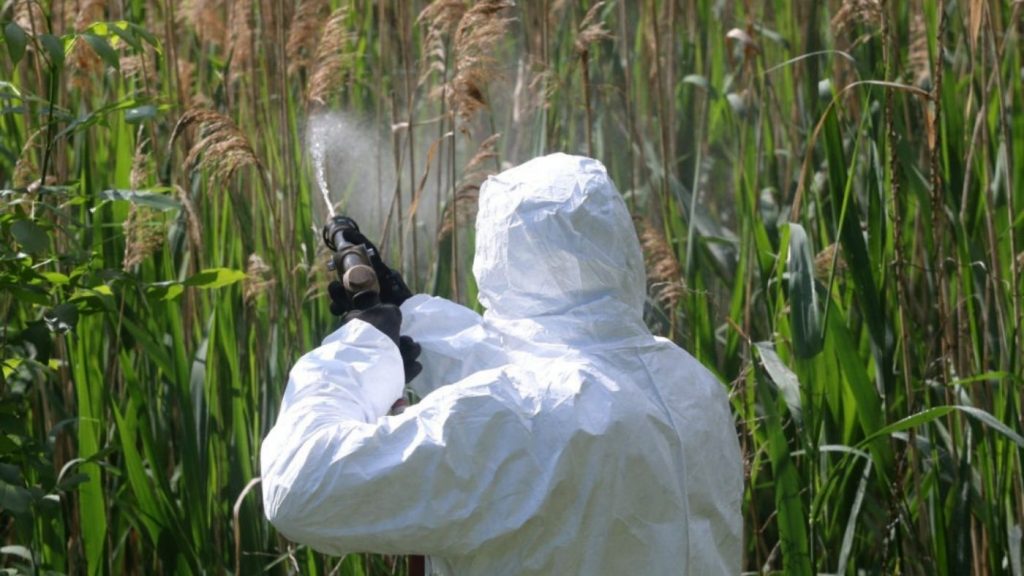 kémiai szúnyogirtás
biológiai szúnyogirtás