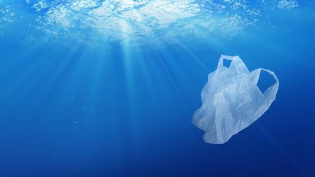Mindennapi műanyaghulladékaink alkotják az óceánokban úszó szemét többségét