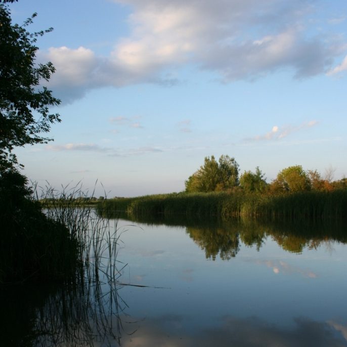 tisza-tó