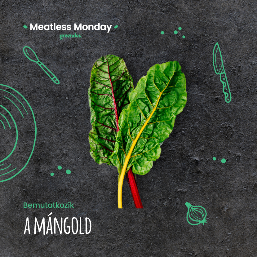 Meatless Monday: egy kevésbé ismert finomság, a mángold