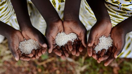 Madagaszkáron már a klímaváltozás miatt éheznek