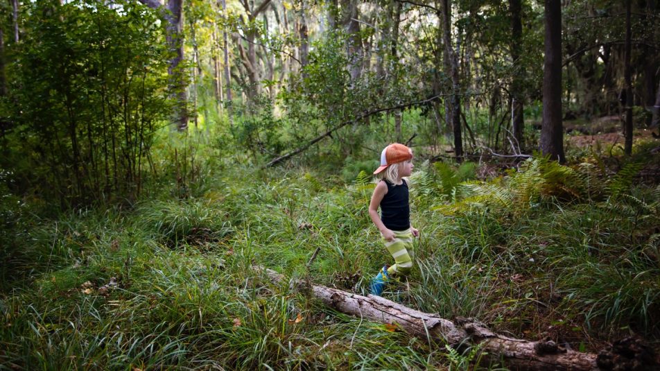 A fák között eltöltött idő segítheti a gyerekek agyfejlődését
