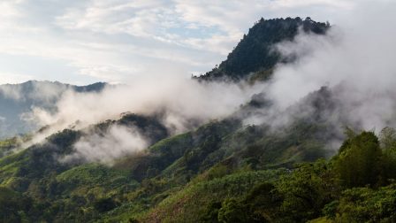 A felgyorsult erdőirtás miatt élesen emelkedik a szénkibocsátást Délkelet-Ázsiában