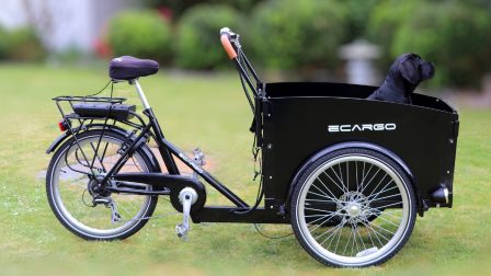 electric-cargo-bike