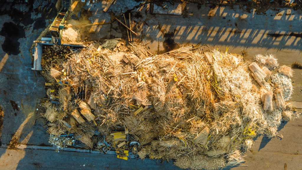 Biomasszahegy egy fűrészüzem udvarán.