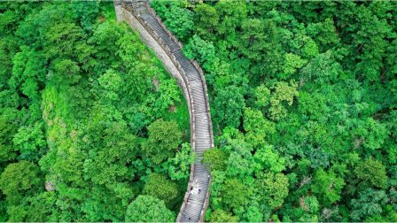 Hatalmas erdőtelepítési program indul Kínában