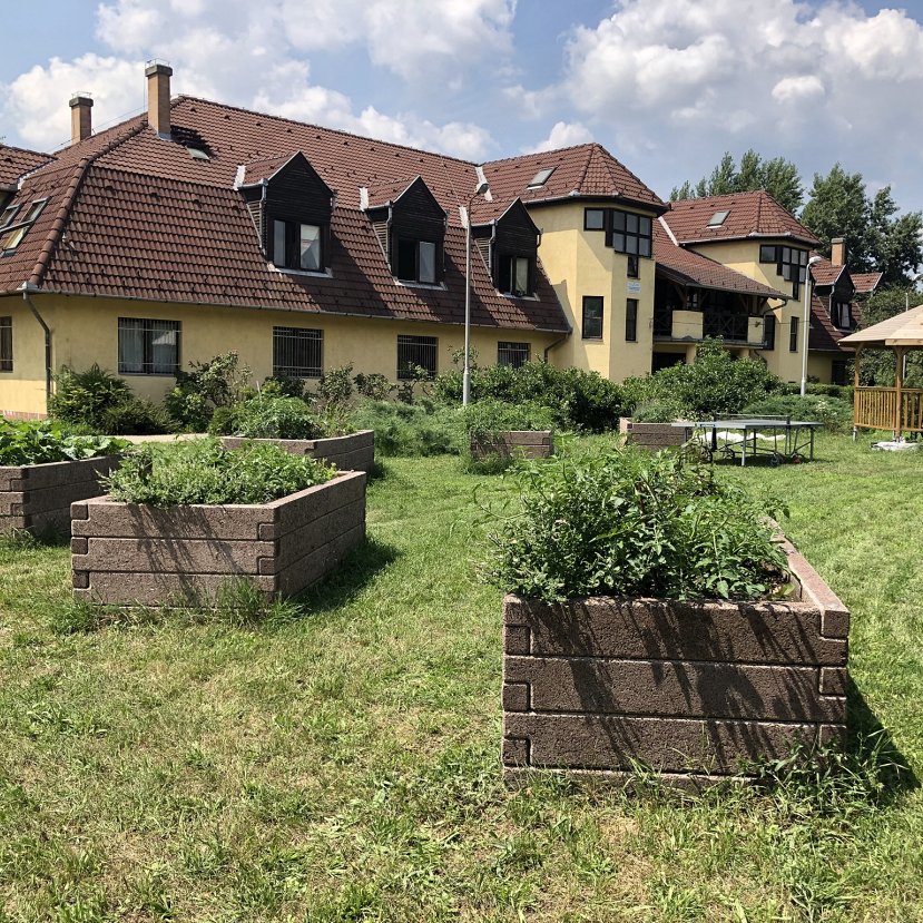 Hajléktalanoknak alakítottak ki permakultúrás kertet Budapesten