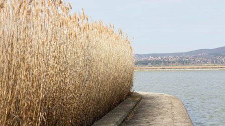 Ijesztően gyors lehet a hőmérséklet-emelkedés Magyarországon