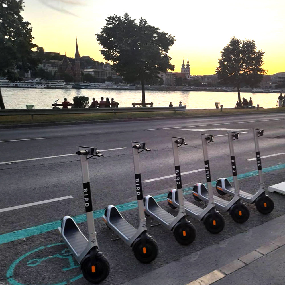 Bird rollerek Budapesten