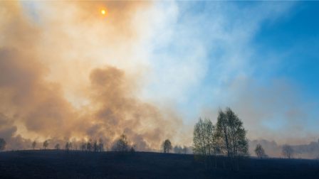 Félmillió hektárnyi terület vált idén a tüzek martalékává Európában