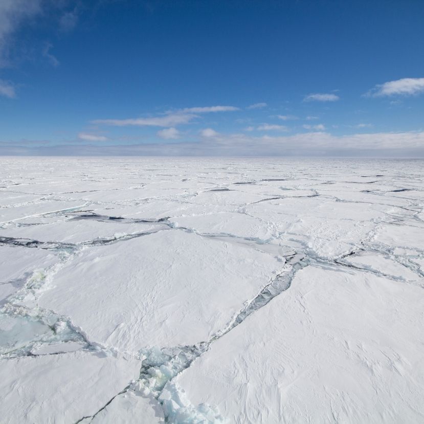 Lyukad az Arktisz legrégebbi jégtáblája!