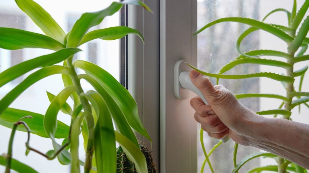 szobanövény
szellőztetés ablak