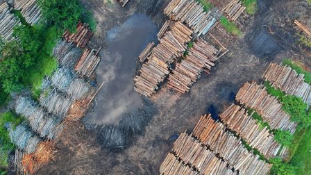 Hadat üzent az EU a szemétmaffiának és az erdőirtásnak