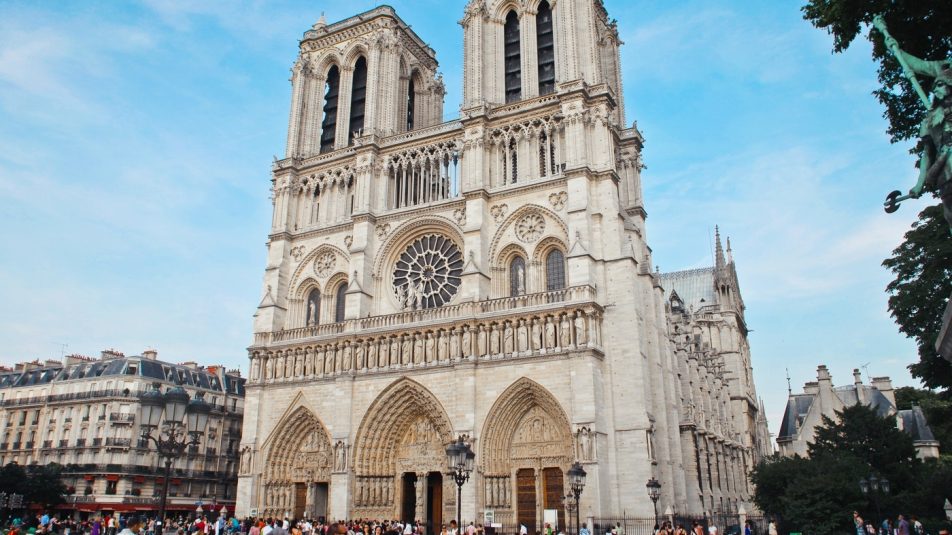 Egy kisebb erdőből épül újjá a Notre Dame